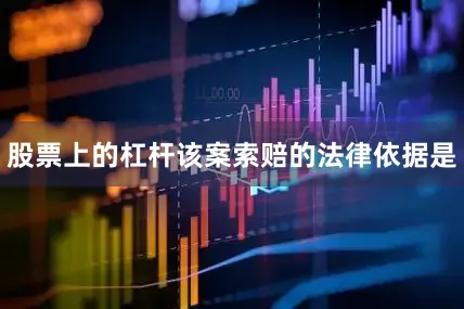 股票上的杠杆该案索赔的法律依据是