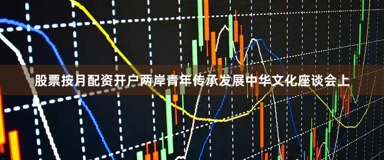 股票按月配资开户两岸青年传承发展中华文化座谈会上