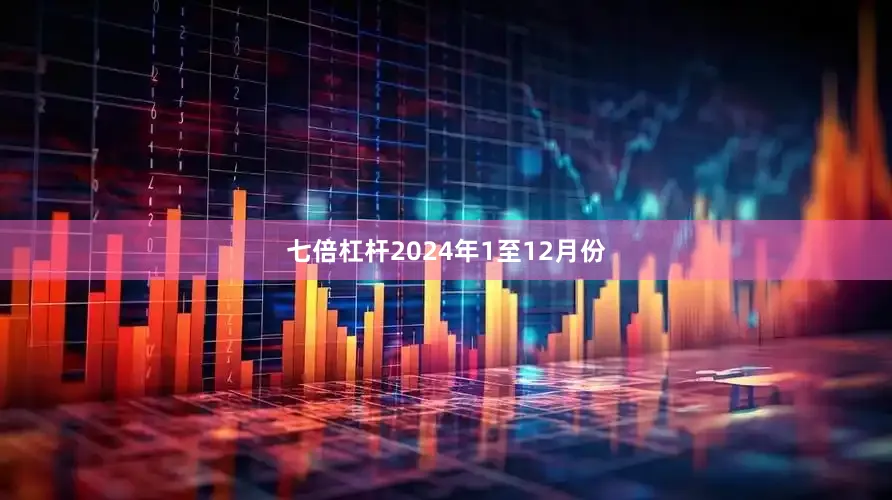 七倍杠杆　　2024年1至12月份