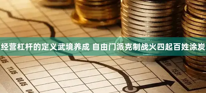 经营杠杆的定义武境养成 自由门派克制战火四起百姓涂炭