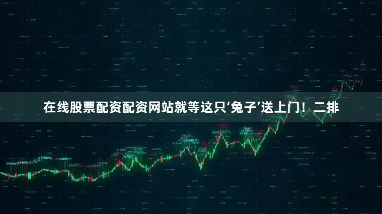 在线股票配资配资网站就等这只‘兔子’送上门！二排