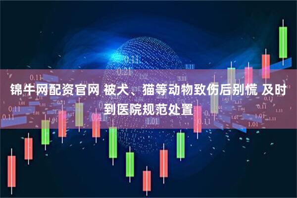 锦牛网配资官网 被犬、猫等动物致伤后别慌 及时到医院规范处置