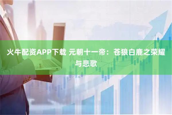 火牛配资APP下载 元朝十一帝：苍狼白鹿之荣耀与悲歌