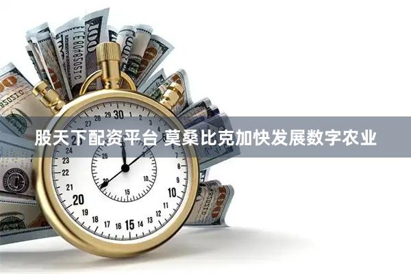 股天下配资平台 莫桑比克加快发展数字农业