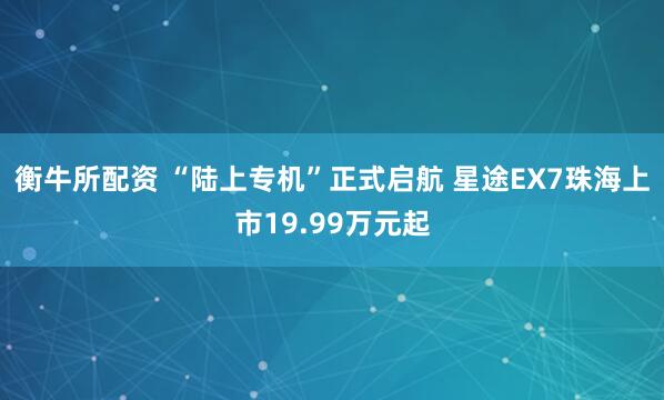衡牛所配资 “陆上专机”正式启航 星途EX7珠海上市19.99万元起